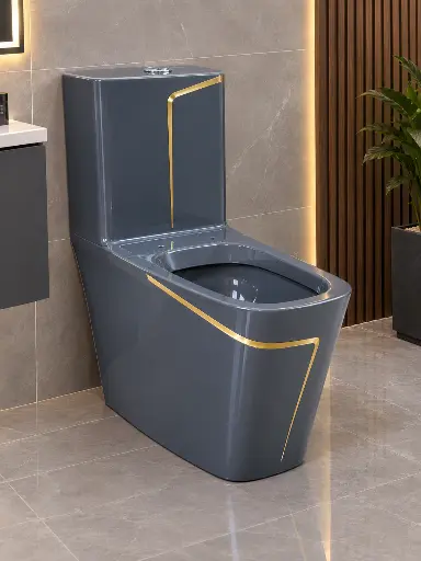 [LIN00098] Titanic Toilet One piece 2013 - Grey - S-Trap